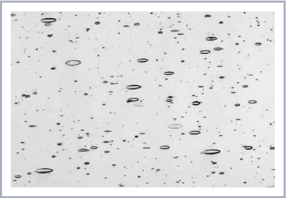 seeded glass